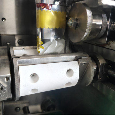 Máquina de embalagem de sacos de chá de câmara única Brightsail Máquina de embalagem automática de pó