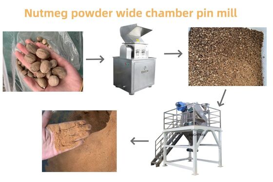 Máquina de moer sementes de mostarda Moinho de pó para sementes oleaginosas e especiarias