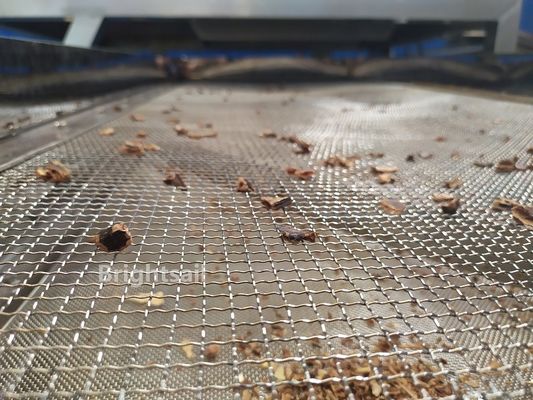a classificação da semente da alfarroba Ss304 da indústria alimentar 5.5kw faz à máquina 99 por cento de sementes removidas